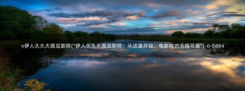 伊人久久影院久久