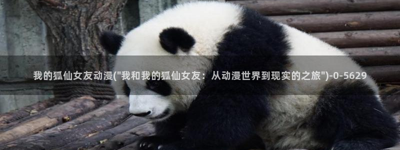 万有引力动漫：我的狐仙女友动漫(\